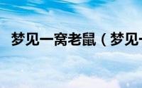 梦见一窝老鼠（梦见一窝老鼠有什么寓意）