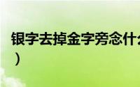银字去掉金字旁念什么（银去掉金字旁的读音）