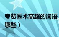 夸赞医术高超的词语（夸赞医术高超的成语有哪些）