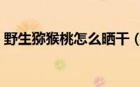 野生猕猴桃怎么晒干（野生猕猴桃如何晒干）