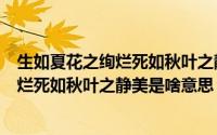 生如夏花之绚烂死如秋叶之静美是什么意思（生如夏花之绚烂死如秋叶之静美是啥意思）