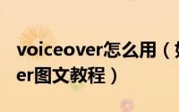 voiceover怎么用（如何打开及关闭voiceover图文教程）