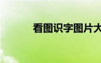 看图识字图片大全（看图识字）