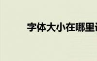 字体大小在哪里设置（字体大小）
