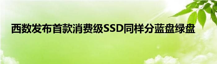 西数发布首款消费级SSD同样分蓝盘绿盘