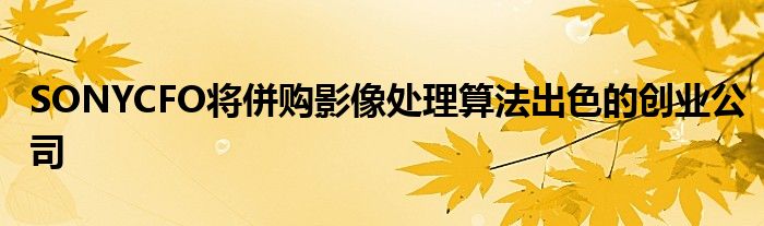 SONYCFO将併购影像处理算法出色的创业公司