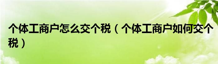 个体工商户怎么交个税（个体工商户如何交个税）