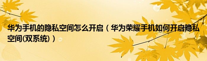 华为手机的隐私空间怎么开启（华为荣耀手机如何开启隐私空间(双系统)）
