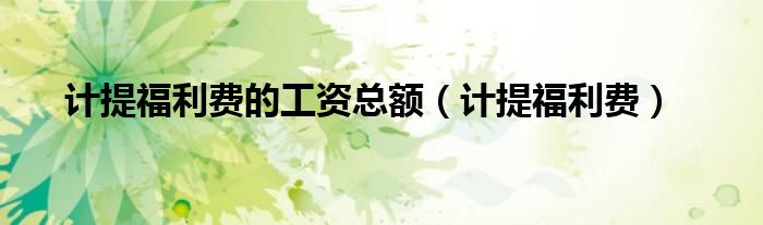 计提福利费的工资总额（计提福利费）