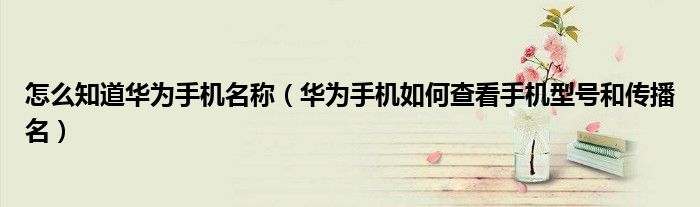 怎么知道华为手机名称（华为手机如何查看手机型号和传播名）