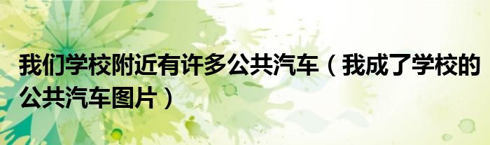 我们学校附近有许多公共汽车（我成了学校的公共汽车图片）