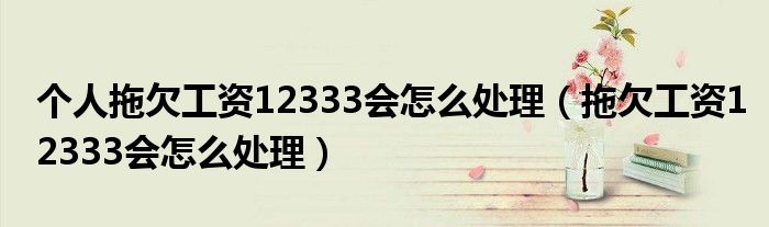 个人拖欠工资12333会怎么处理（拖欠工资12333会怎么处理）