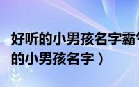 好听的小男孩名字霸气十足（好听的霸气十足的小男孩名字）
