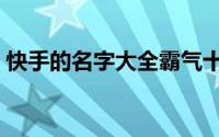 快手的名字大全霸气十足（酷酷的霸气网名）