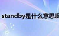 standby是什么意思啊（standby怎么翻译）
