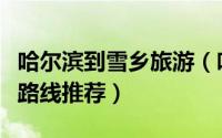 哈尔滨到雪乡旅游（哈尔滨到雪乡旅游有哪些路线推荐）