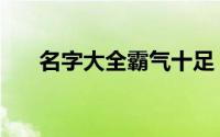 名字大全霸气十足（有韵味微信网名）