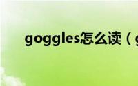 goggles怎么读（goggles英文解释）