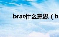 brat什么意思（brat英语什么意思）