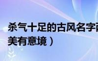 杀气十足的古风名字两个字（古风名两个字唯美有意境）