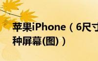 苹果iPhone（6尺寸曝光：4.7寸和5.5寸两种屏幕(图)）