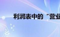 利润表中的“营业收入”项目基于()