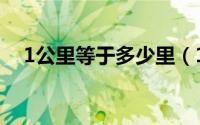 1公里等于多少里（1公里等于多少里呢）