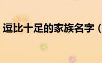 逗比十足的家族名字（家族逗比十足的名字）