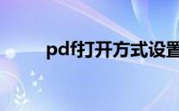pdf打开方式设置（pdf打开方式）