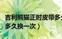 吉利熊猫正时皮带多久换（吉利熊猫正时皮带多久换一次）