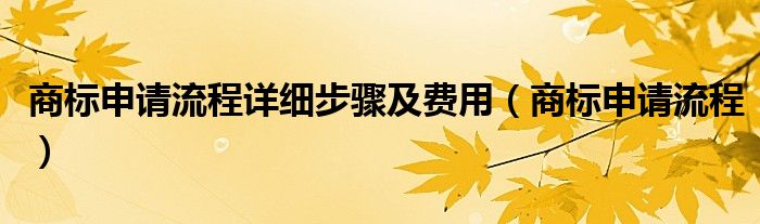 商标申请流程详细步骤及费用(商标申请流程)