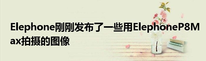 Elephone刚刚发布了一些用ElephoneP8Max拍摄的图像