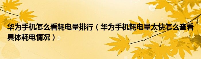 华为手机怎么看耗电量排行（华为手机耗电量太快怎么查看具体耗电情况）