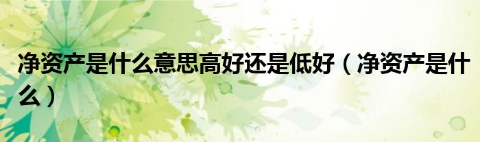 净资产是什么意思高好还是低好（净资产是什么）
