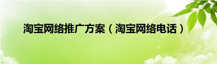 淘宝网络推广方案（淘宝网络电话）