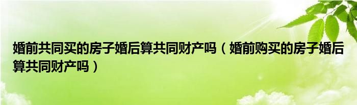 婚前共同买的房子婚后算共同财产吗（婚前购买的房子婚后算共同财产吗）