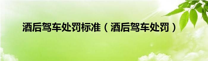 酒后驾车处罚标准（酒后驾车处罚）