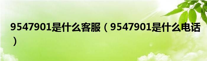 9547901是什么客服（9547901是什么电话）