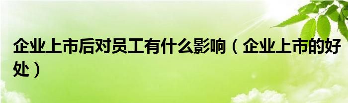 企业上市后对员工有什么影响（企业上市的好处）