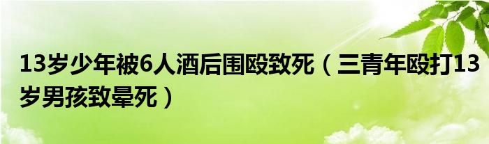 13岁少年被6人酒后围殴致死（三青年殴打13岁男孩致晕死）