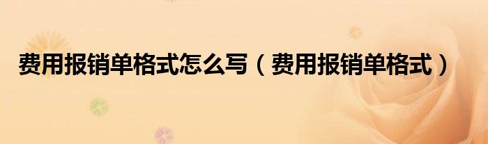 费用报销单格式怎么写（费用报销单格式）