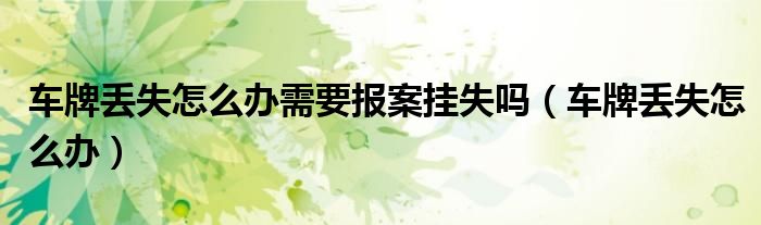 车牌丢失怎么办需要报案挂失吗（车牌丢失怎么办）