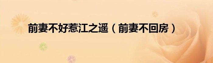 前妻不好惹江之遥（前妻不回房）