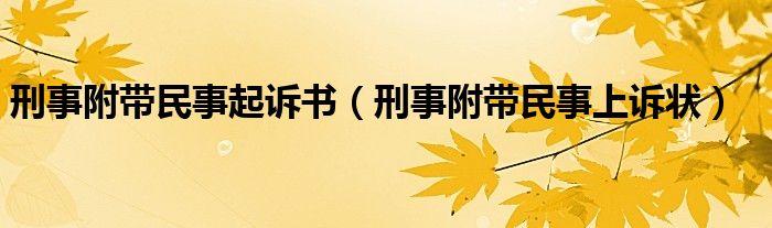 刑事附带民事起诉书（刑事附带民事上诉状）