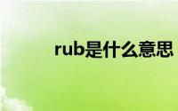 rub是什么意思（rub怎么翻译）