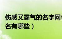 伤感又霸气的名字网名（伤感又霸气的名字网名有哪些）