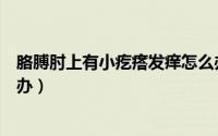 胳膊肘上有小疙瘩发痒怎么办（胳膊肘上有小疙瘩发痒怎么办）