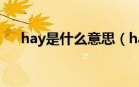 hay是什么意思（hay英语是什么意思）