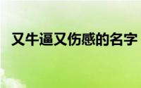 又牛逼又伤感的名字（伤感又牛逼的名字）