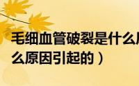 毛细血管破裂是什么原因（毛细血管破裂是什么原因引起的）